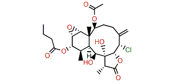 Briarenol X